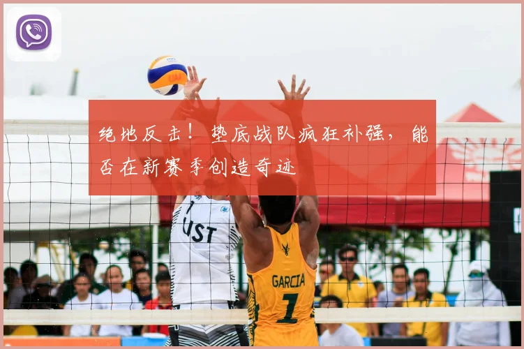 绝地反击!垫底战队疯狂补强,能否在新赛季创造奇迹