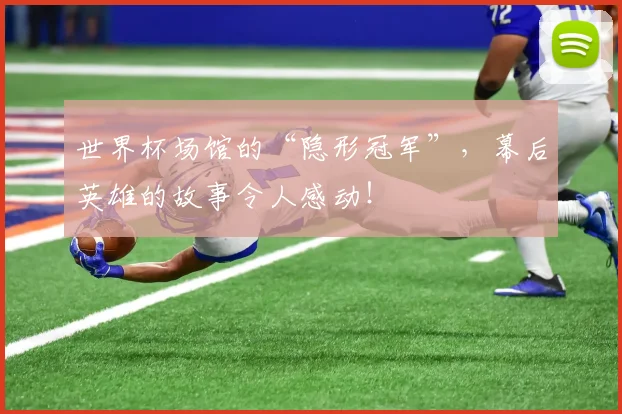 世界杯场馆的“隐形冠军”，幕后英雄的故事令人感动！