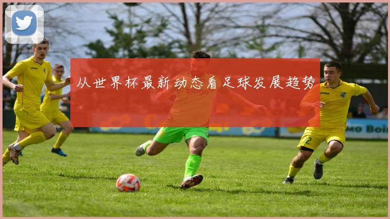 从世界杯最新动态看足球发展趋势