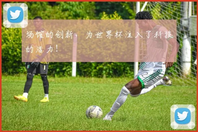 场馆的创新，为世界杯注入了科技的活力！