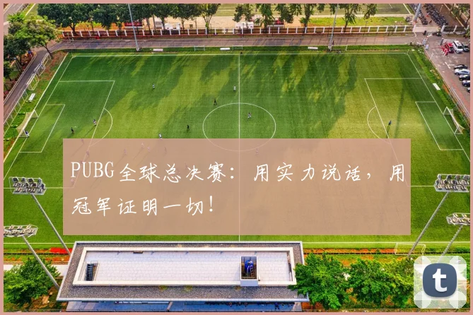 PUBG全球总决赛：用实力说话，用冠军证明一切！