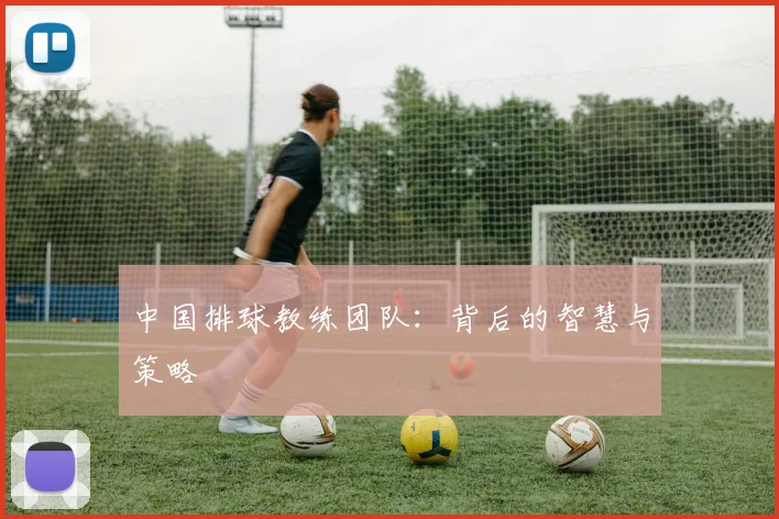中国排球教练团队：背后的智慧与策略